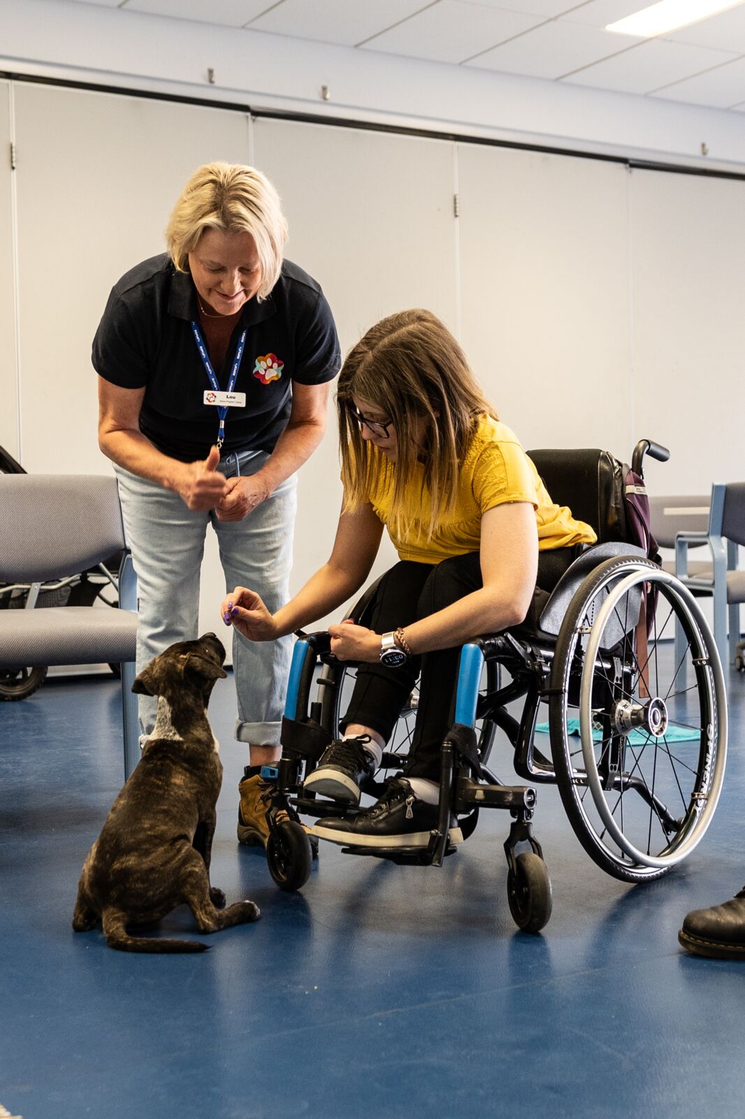 Happy Paws Happy Hearts team